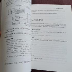 亿级流量网站架构核心技术 跟开涛学搭建高可用高并发系统