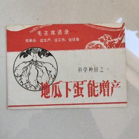 「科学种田之一」地瓜“下蛋”能增产（毛主席语录3幅封面1幅共4幅、照片插图多幅、**味浓）