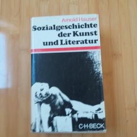 Arnold Hauser  / Sozialgeschichte der Kunst und Literatur 阿诺尔德·豪泽尔 《艺术社会史》德文原版 布面精装