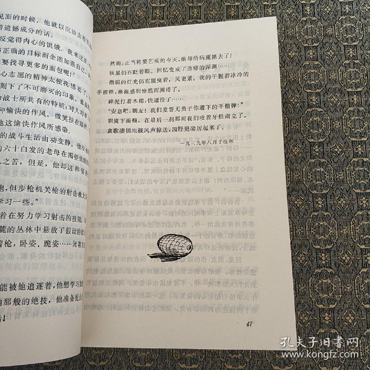 望云海  实物拍照