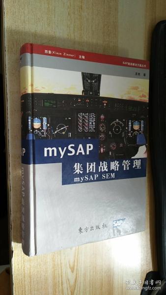 mySAP集团战略管理