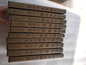 龙人武侠连接全球华人的文学作品（10本合售）