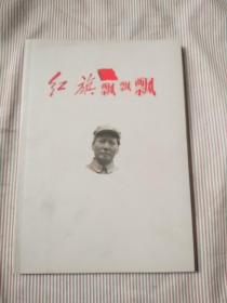 红旗飘飘飘（盛世典藏审视历史）