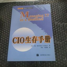 CIO生存手册——中华财务博略现代管理文库