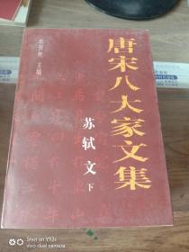 唐宋八大家文集 （全10卷）缺第6 10册 8本合售