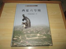 宁夏文物考古研究所丛刊（24）：西夏六号陵