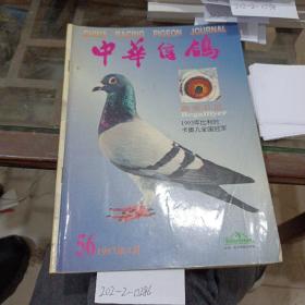中华信鸽。1997年4月。