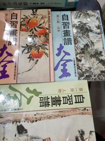 自习画谱大全