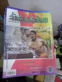 少林与太极：2002年1、6、8、9、12期、2003年第1、2、3、5、6、7、8、11、12期、2004年全年12期缺第8期、2005 年全年12期、2006年全年12期、2007年1——11期、2009年全年12期全、2010年全年12期全、2011年1—9期，第11期、2013年全年12期全、2014年全年12期全、2015年第1——11期、2016年第2——12期【139册合售】】