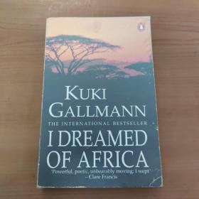 英文原版 I Dreamed of Africa