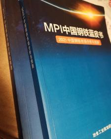 MPI中国钢铁蓝皮书2021 2019中国钢铁市场分析与预测 合售可优惠