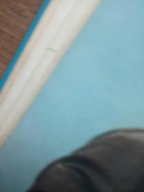 海港革命现代京剧