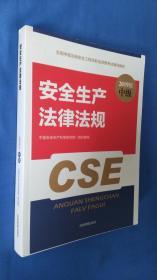 全国中级注册安全工程师职业资格考试辅导教材：2019版中级 安全生产法律法规