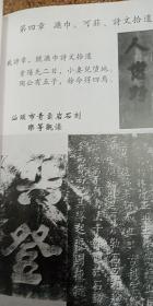 一本将乡志，族谱，风俗，名人，文献都整理好的好族谱《戴氏族谱    》精装，戴平万家族，清末就有人研究的家族