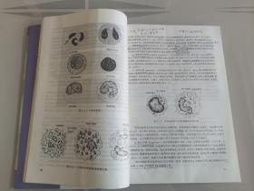 高等医学院校系列教材：组织胚胎学