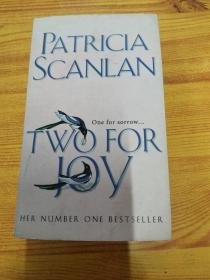 Two for Joy by Patricia Scanlan 英文原版 9780553813913