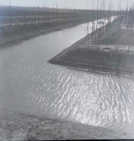 1965年底片五张：乡村灌溉水渠边的风景和人