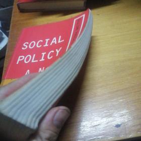 Social Policy: A New Analysis