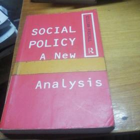 Social Policy: A New Analysis