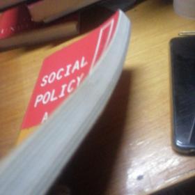 Social Policy: A New Analysis