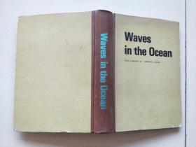 Waves  in  the  Ocean