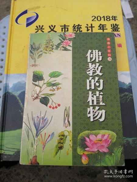 佛教小百科，佛教的植物