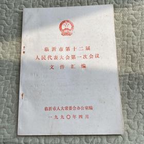 临沂市第十二届人民代表大会第一次会议文件汇编