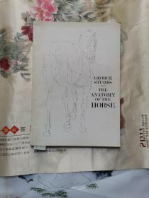 The Anatomy of the Horse