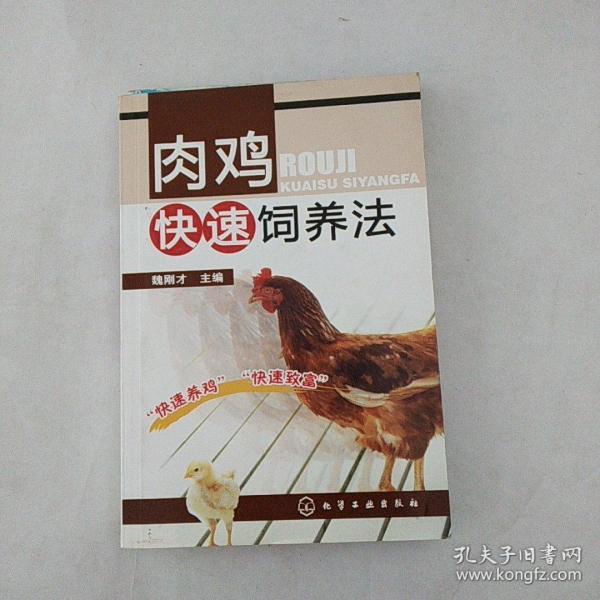 肉鸡快速饲养法