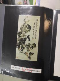 著名画家戴德培二级美术师材料（3册合售）（包罗万象，3公斤）