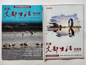 天津支部生活2020年 12月【 上  综合版、下  党建版】2本