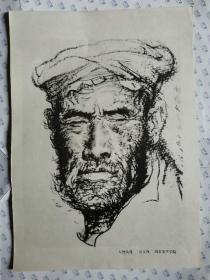 70年代速描单页画:人物头像(刘文西/作.3张)36.5X26CM