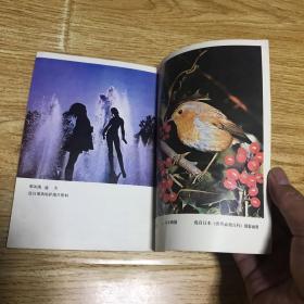 摄影丛刊7