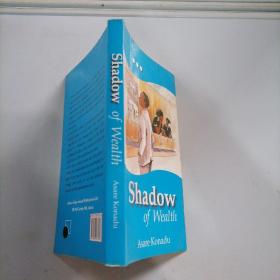 shadow of wealth影子的财富