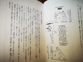 正版  武术的奥义 配原版盘 日文版 日本剑道 武器术 武术修行  長野峻也 日本剑道 日本合气道 武术内功