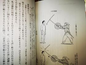 正版  武术的奥义 配原版盘 日文版 日本剑道 武器术 武术修行  長野峻也 日本剑道 日本合气道 武术内功