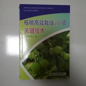 核桃高效栽培10项关键技术