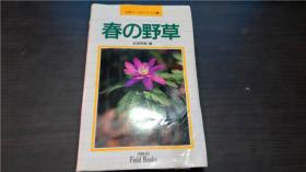 春の野草 全彩 永田芳男 山と溪谷社 1991年 36开平装 原版日文漫画 图片实拍