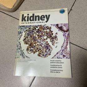 kidney international