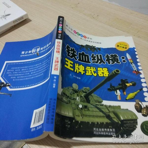 铁血纵横 : 王牌武器