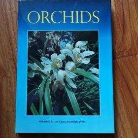 ORCHIDS—兰花