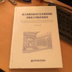 重大基础设施项目复杂演化风险多维组合均衡评价研究