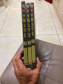 中国文学史  精装三册 内页精美