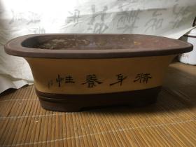 吴晓凤制作紫砂盆