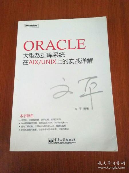 Oracle大型数据库系统在AIX/UNIX上的实战详解