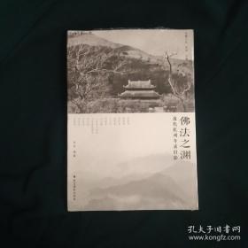 佛法之渊(近代杭州寺庙旧影)/灵隐文丛