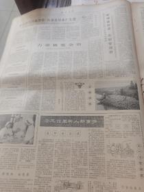 《浙江日报》【上海广州新扩建的国际机场基本完工；（黄岩县三甲公社同利大队）收割榨菜，有照片；（富阳县城阳公社）胜利大队采取有效措施，集中劳力加速春耕；（杭州市奎元馆）名师出高徒；彩笔喜描新农村——农民画家高妙兰作品选刊，有整版照片】