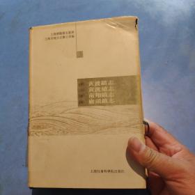 上海乡镇旧志丛书（3）黄渡镇志 黄渡续志 南翔镇志 厂头镇志【精装】