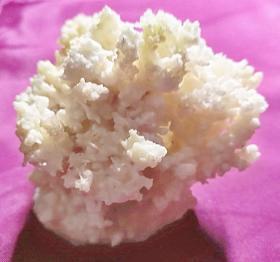 天然溶洞碳酸钙结晶体钟乳石花 小珊瑚丛花活化石矿物摆件奇石观赏 S14