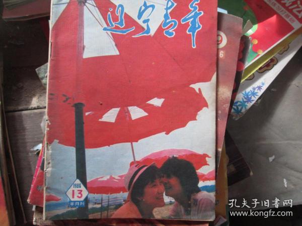 辽宁青年 1986年第13期杂志